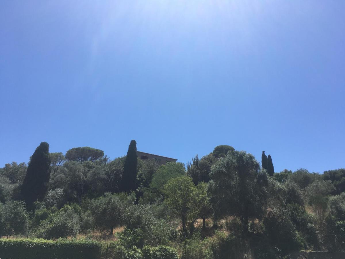 Un Quadro Sulla Giannella Apartman Monte Argentario Kültér fotó